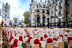 Remembrance-Sunday-Poppy-London-Westminster-300x200
